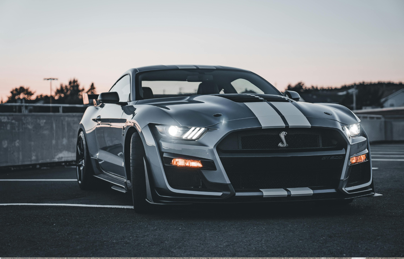 A Shelby GT500 on road